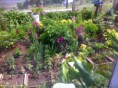 /album/fotogaleria-inicio1/jardin-jpg/